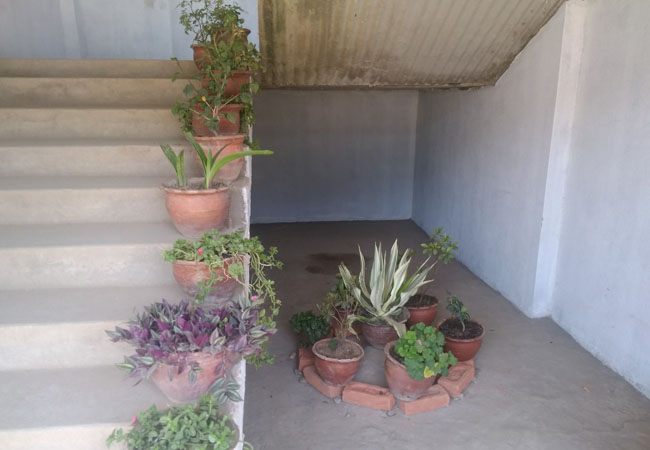 Image Gallery